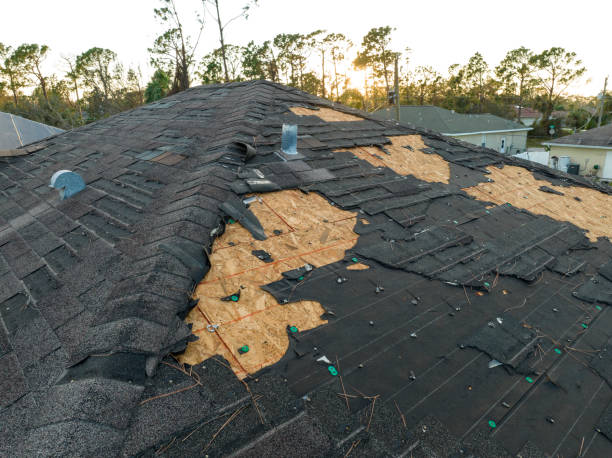 Best Roof Replacement  in Lamar, TX